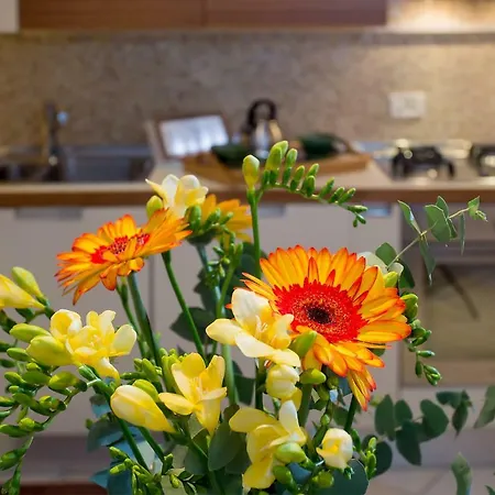 Apartmán Biennale Ca Dario